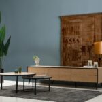 מזנון V דגם LEXUS